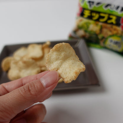 ゴーヤーチャンプルーチップス(60g)